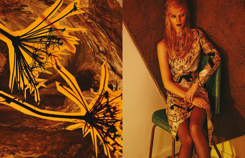 Printed Dress / Preen By Thornton Bregazzi Hosiery / Wolford Rings / Alynne Lavigne