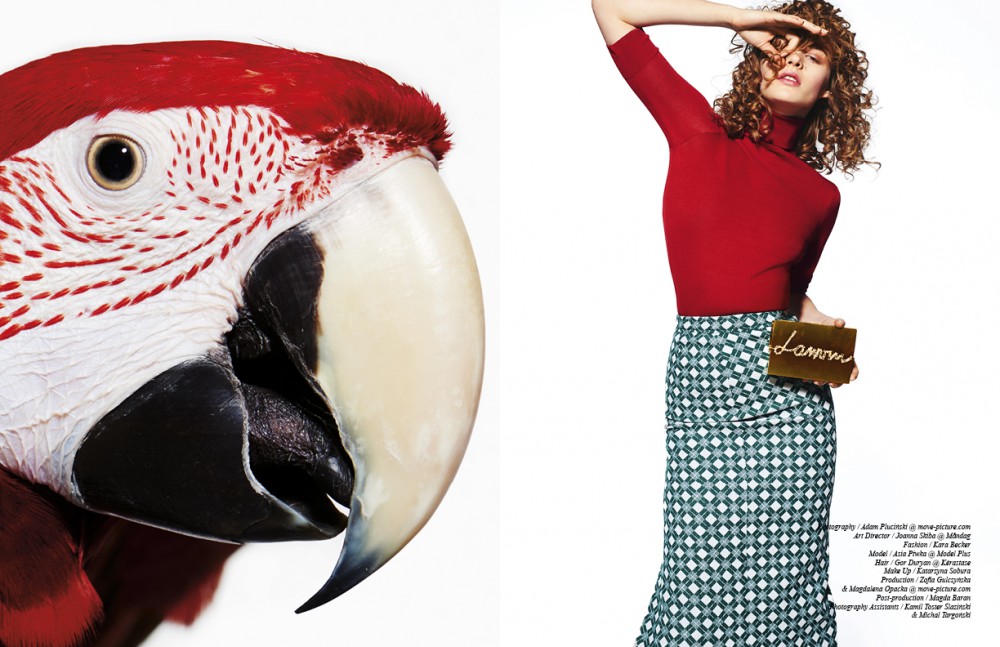 Opposite Turtleneck / Dsquared2 Skirt / Miu Miu Bag / Lanvin