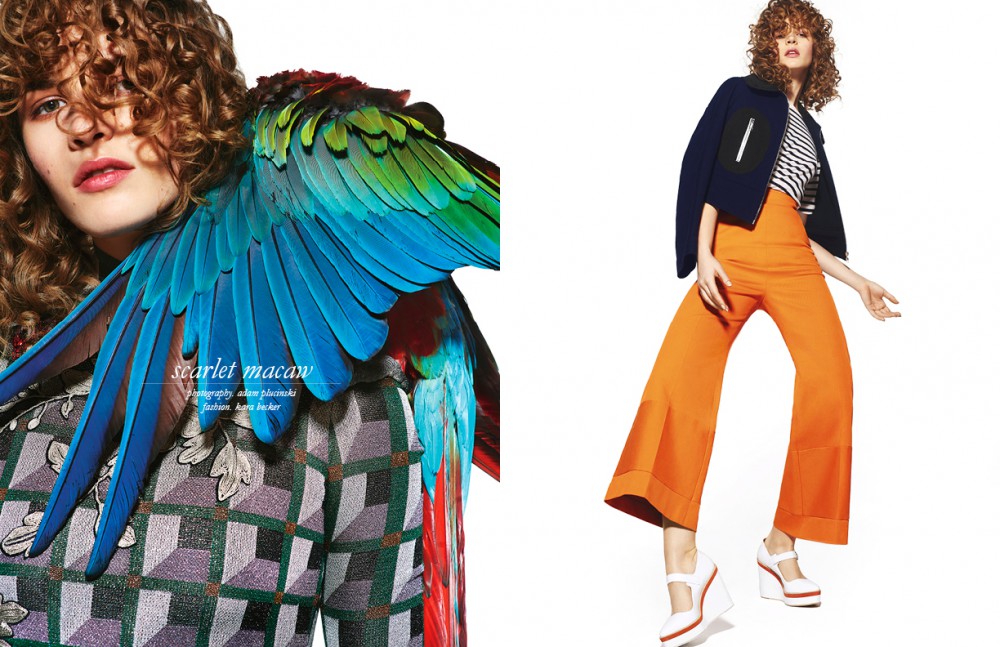 Dress / Gucci Opposite Trousers & Jacket / Sportmax T-Shirt / t by Alexander Wang Shoes / Max Mara