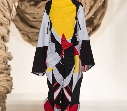 IED Graduate for Sustainability