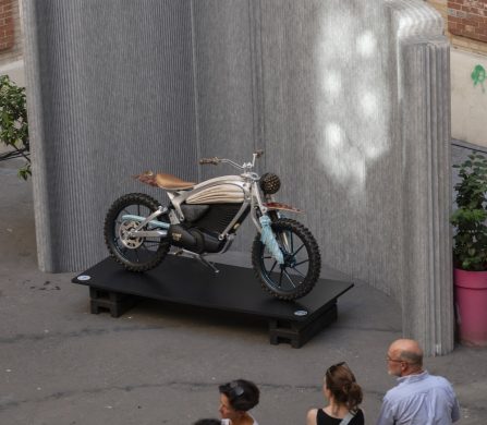 Flying_Flea_PARIS_Sep25_(©Matt_Sills)_0250