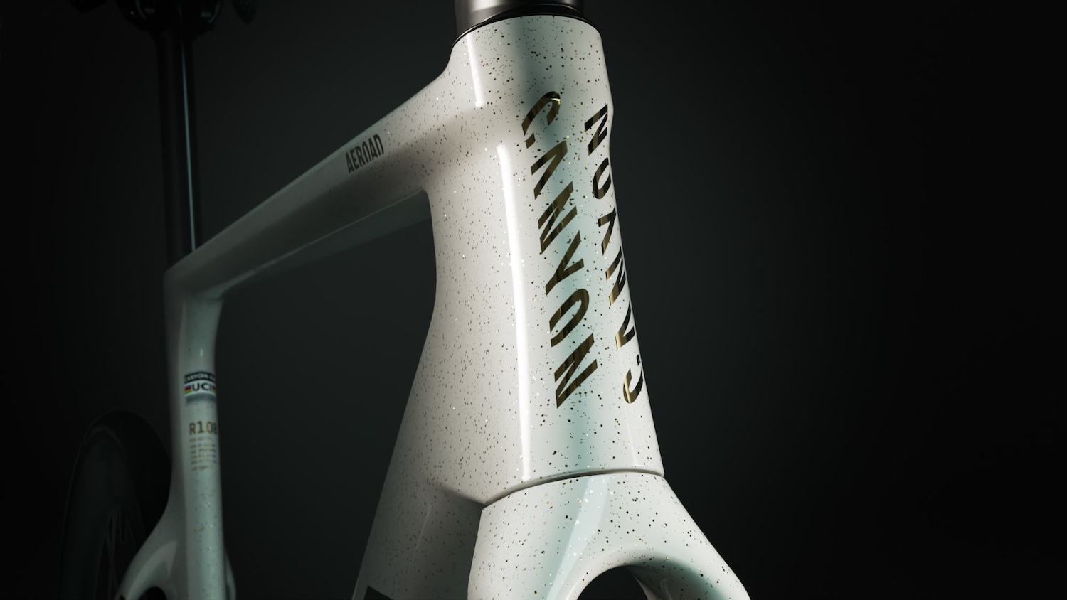 577016-2025_Campaign_MyCanyon_Fabrio-C12_x_Web_Landing_08_2400x1350_ALL_jknbux-e624fd-original-1739910070