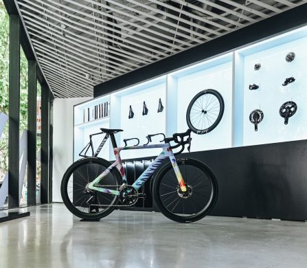 603374-589481-YRK_4513-400ddd-original-1746679590-c00376-original-1753437694