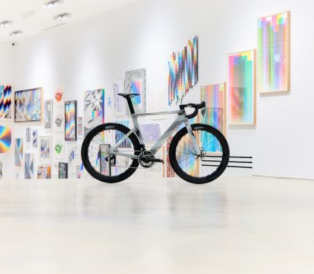 603376-577401-250116_CanyonPantone_Polafoguet_1_0599-60617d-original-1739956686-103c9c-original-1753437699