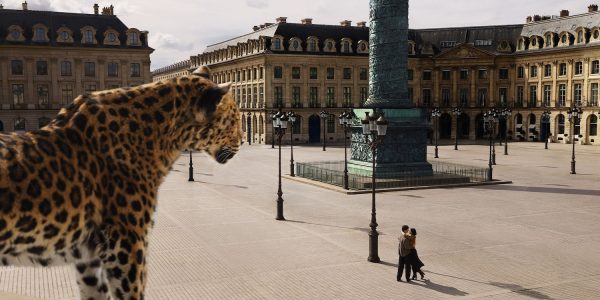 cartier | the new love unlimited bracelet