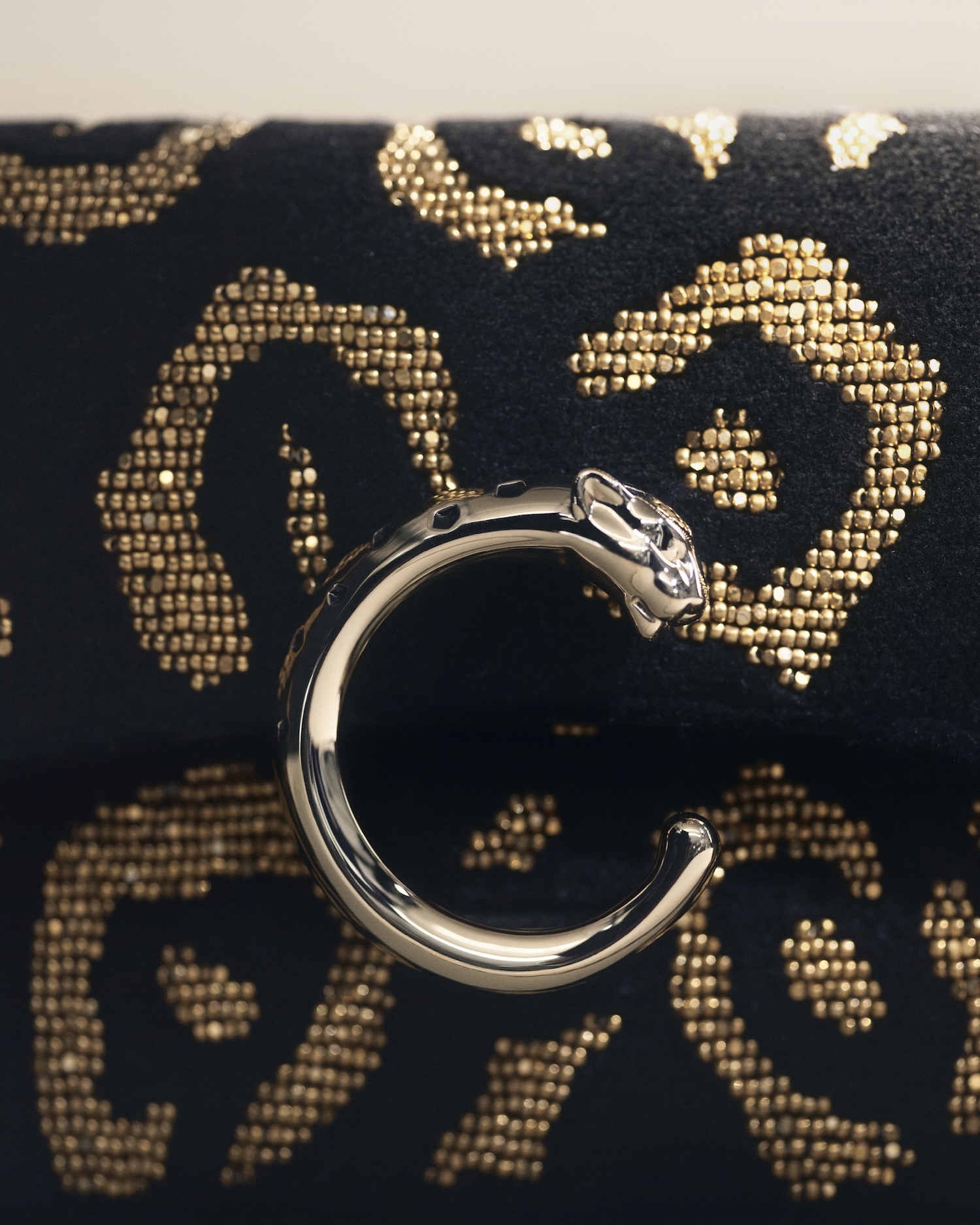 Panthère C de Cartier – mini chain bag Pearls_CRL1002740© Mattia Parodi © Cartier_Rights End 31.10.26 (2)