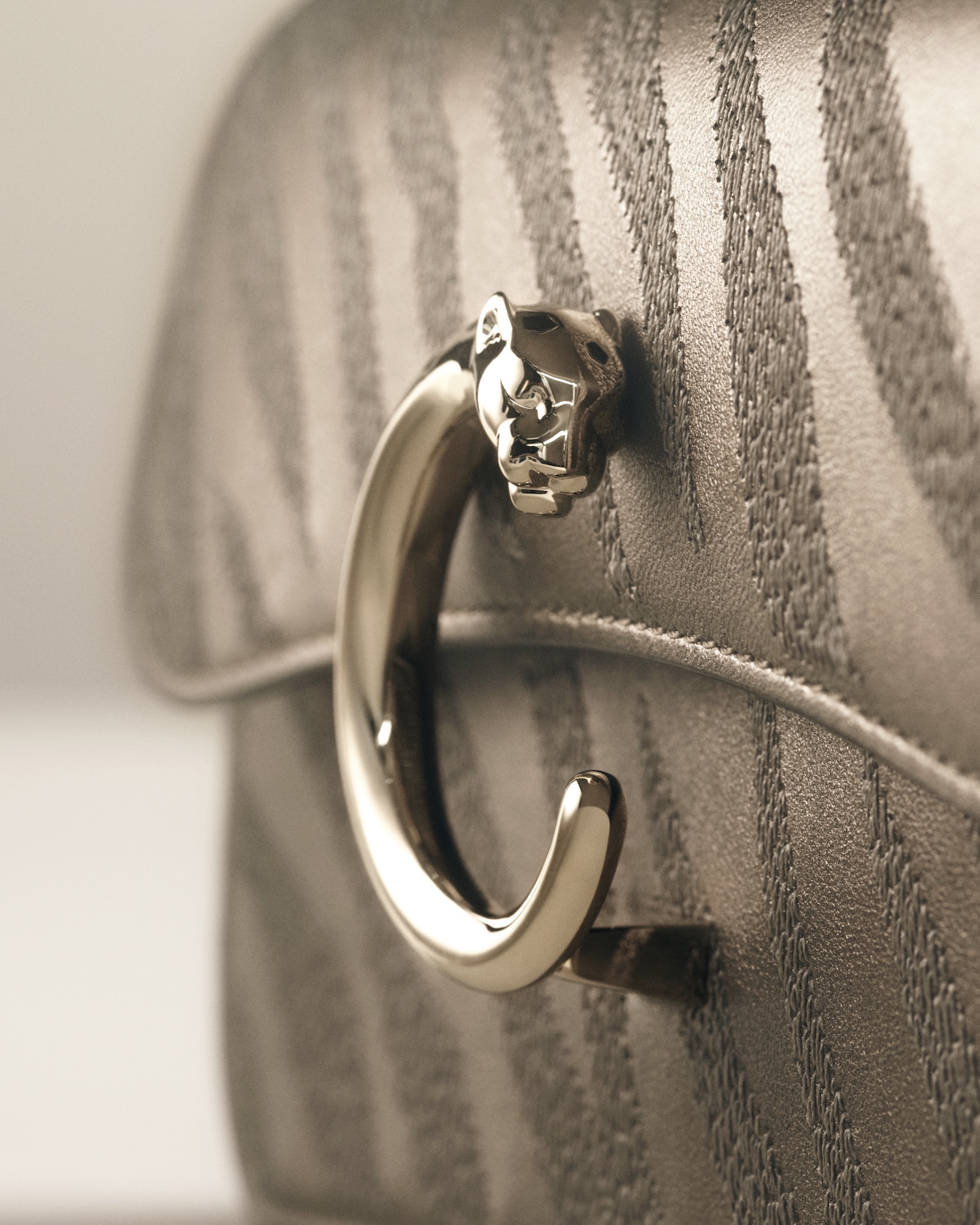 Panthère C de Cartier – mini chain bag shiny_CRL1002741 © Mattia Parodi © Cartier_Rights End 31.10.26 (1)