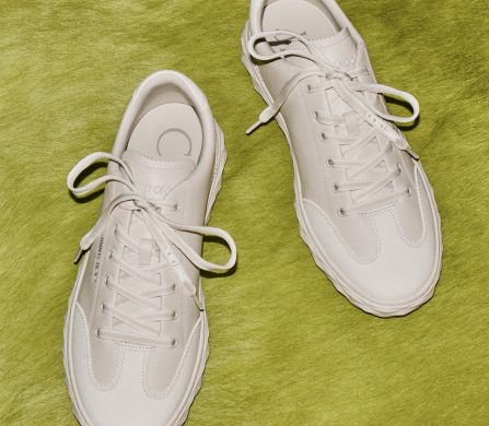 WINTER 25_DIAMOND FLEX_4x5