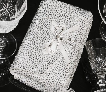 WINTER 25_SOFT BOW MINI BAG_4x5