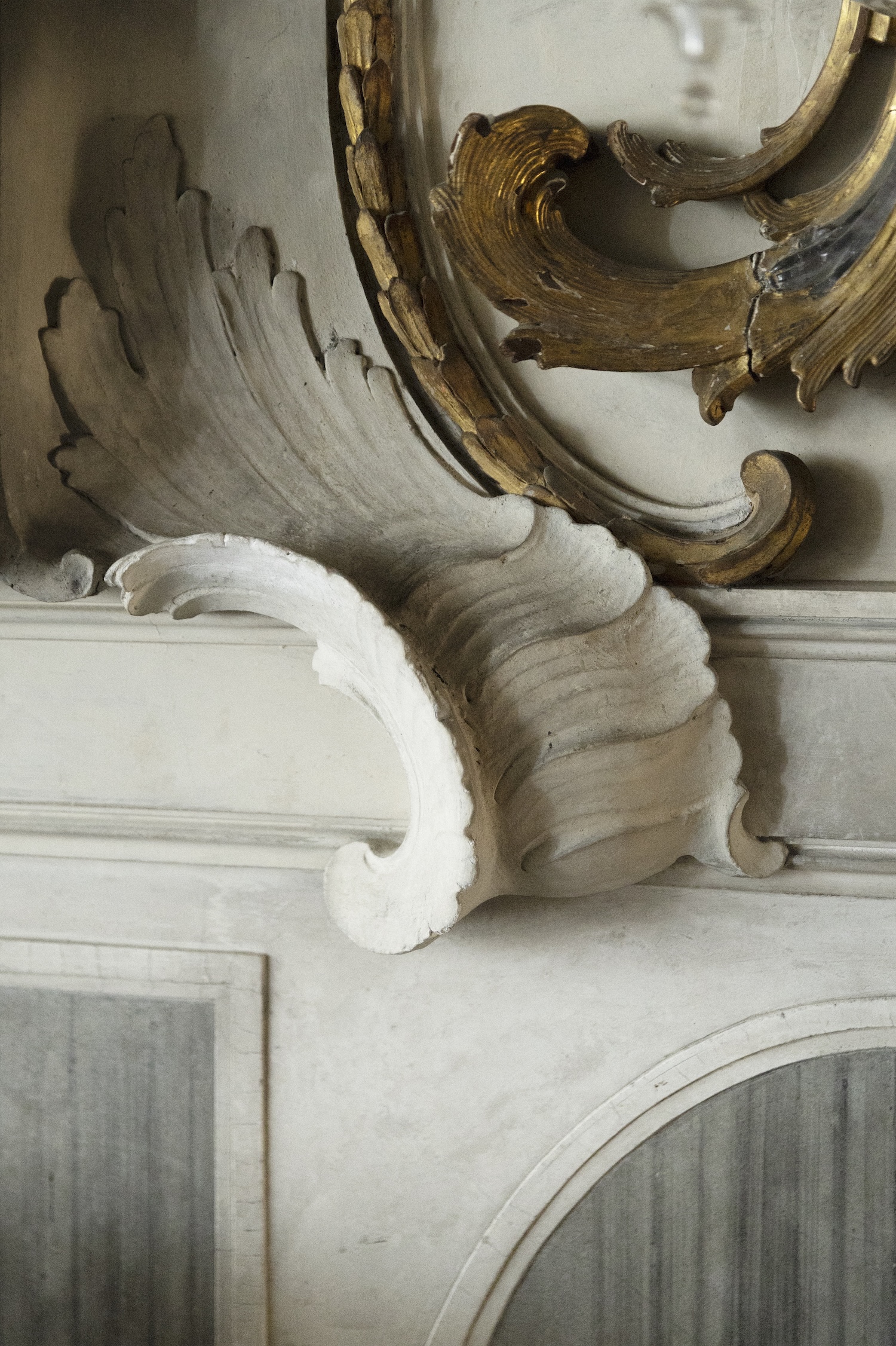 03_GC_FONDAZIONE DRIES VAN NOTEN_PALAZZO PISANI MORETTA_Ph Camilla Glorioso