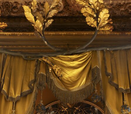 04_GC_FONDAZIONE DRIES VAN NOTEN_PALAZZO PISANI MORETTA_Ph Camilla Glorioso